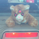 Image for article titled If You Can't Buy It, Build It: Wanky The Safety Cat